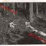 Nackte Soldaten im Urwald von Salla Lappland Finnland