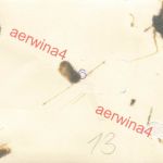 Frachter am Eismeer bei Petsamo Lappland Finnland