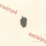 Deutsche Soldaten nach EK-2 Verleihung bei Salla Lappland Finnland