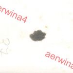 Deutscher Soldat des Skizug 378 bei Salla Lappland Finnland