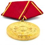 DDR Medaille für 20 Jahre Treue Dienste Bewaffnete Organe MdI