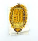 DDR Aufnäher Sportabzeichen DDR Bereit zur Arbeit & Verteidigung Gold Anhänger I