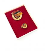 DDR GDSF Ehrennadel und Miniaturnadel in Gold