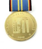DDR Medaille langjährige Pflichterfüllung Stärkung Landesverteidung Gold 40Jahre