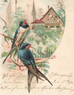 AK Ostern Fröhliche Ostern Schwalben Dorfkirche Frühling 1902 Postkarte