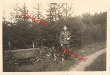 Deutscher Soldat mit Hundegespann im Einsatz