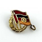 DDR GDSF Ehrennadel und Miniaturnadel in Gold Deutsch-Sowjetische Freundschaft