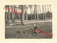 Rast deutsche Soldaten im Wald Rinkau bei Bromberg Westpreussen