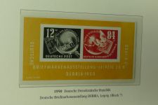 Bild #8