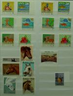 Bild #50