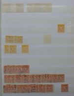 Bild #31