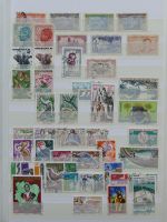 Bild #113