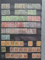 Bild #43