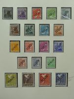 Bild #8