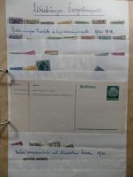 Bild #7