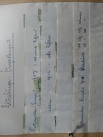 Bild #8
