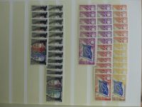 Bild #42