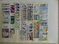 Bild #129