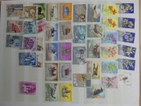 Bild #73