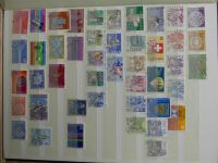Bild #123
