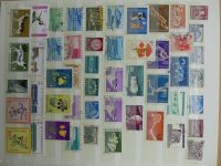 Bild #136