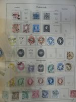 Bild #12