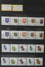 Bild #5
