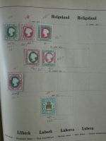 Bild #12
