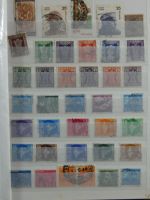 Bild #33