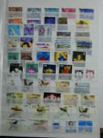 Bild #11