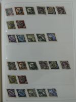 Bild #52