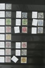 Bild #61