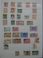 Bild #31