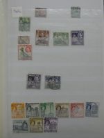 Bild #32