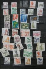 Bild #42