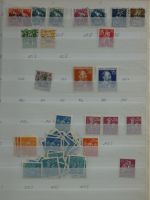 Bild #8