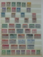 Bild #20
