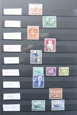 Bild #8