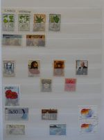Bild #20