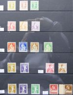 Bild #9