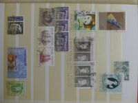 Bild #166