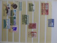 Bild #173