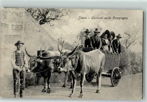 Siena 1908 Costumi aelle Campagne Ochsenkarren Tracht