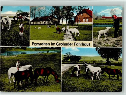 Grohnde Grohnder Fährhaus Ponyreiten