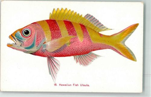 Honolulu Hawaii Ulaula Fisch Ort lt. Verlag