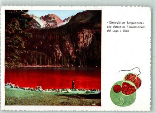 Brenta Lago di Tovel Lago Rosso