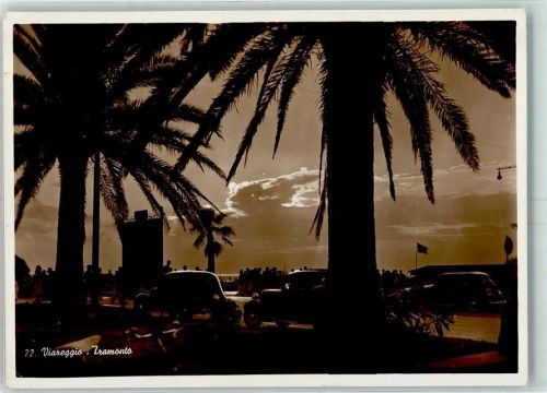 Viareggio Tramonto Auto Palmen Am Abend