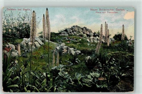 Dahlem 1910 Neuer Botanischer Garten Flora von Turkestan