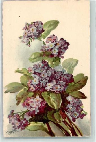 Proprieta riservata Nr. 389 Blumen