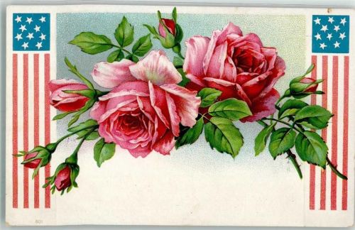 Rosen Sternenbanner Rosen Lithographie